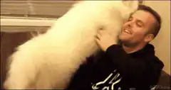 Man hugging fluffy white dog