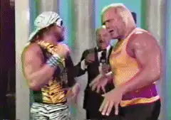 Hulk Hogan and Ted DiBiase shake hands