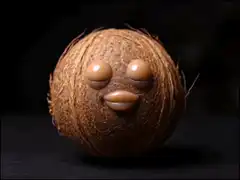 Coconut with face gets wiped and smashed