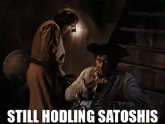 Still Hodling Satoshis