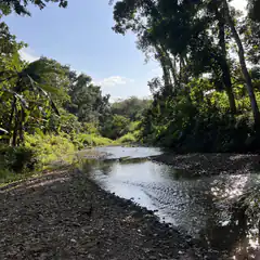stream in tropical forest