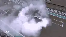 F1 driver celebrates in smoke