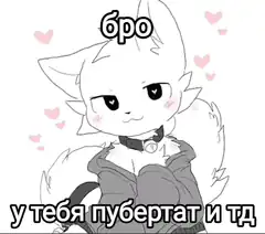 cat bro pubertat meme