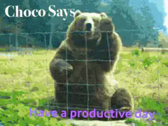 Bear waving have a productive day