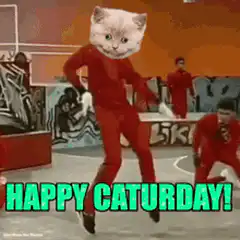 Happy Caturday Cat Dancing