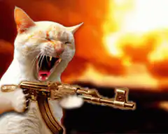 screaming cat with gun in front of explosion