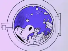 Snoopy floating in a washing machine