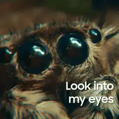 Look into my eyes spider