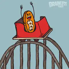 Bitcoin roller coaster