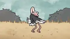 ostrich hiding head in sand