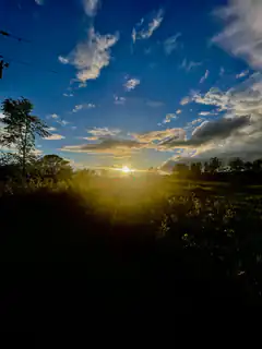 sunburst over field at sunset