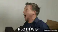 Man shocked by plot twist