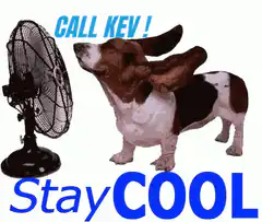 Basset Hound Fan Stay Cool Call Kev