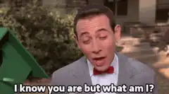 I Know You Are But What Am I?