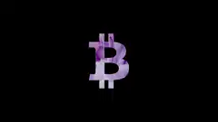 Purple Bitcoin Independence Day