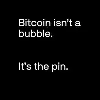 Bitcoin isn't a bubble, it's the pin