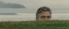George Clooney peeking over grass
