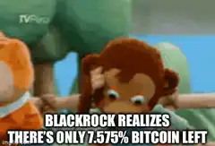 Monkeyface Bitcoin Realization