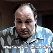 Tony Soprano What are you gonna do