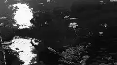 rain falling on dark pond