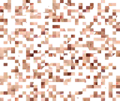 Pixelated brown squares on white background