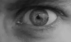 Pupil morphs into demon and eye closes