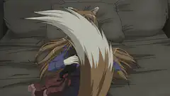 Holo sleeping with tail