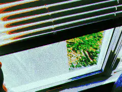 window blinds with green view