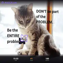 Cat meme be the entire problem