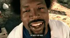 Because I Got High