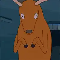 Bongo the kangaroo shrugging