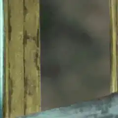 Arnold Schwarzenegger peeking through window