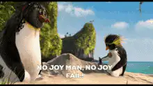 No Joy Man No Joy Fail Penguin