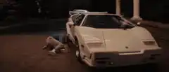 Bunny kicks man into Lamborghini