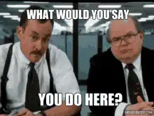 What Would You Say You Do Here?