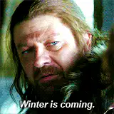 Ned Stark Winter is Coming