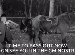 Horse falls over dead