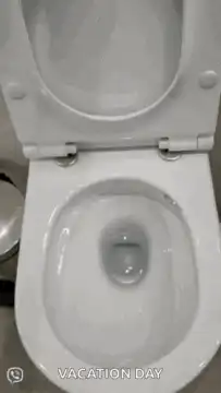 Toilet flushing with text vacation day