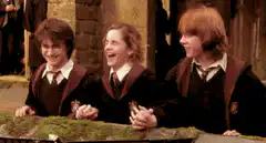 Harry Potter trio laughing at the model