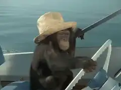 Chimpanzee wearing straw hat on boat