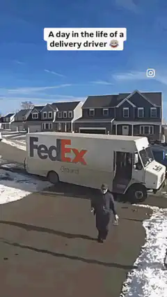 FedEx driver chased by dog