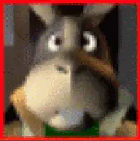 Donkey Kong looking confused