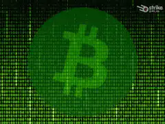 Green Bitcoin Symbol on Matrix Background