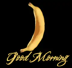kitten in banana good morning