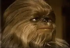 Chewbacca looking skeptical then angry