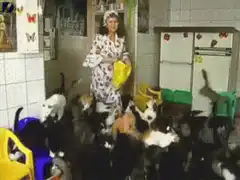Woman surrounded by cats