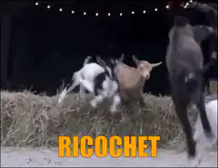 Goats jumping on hay bales