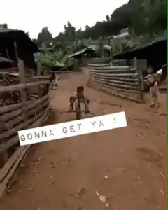 Monkey chasing person on dirt road