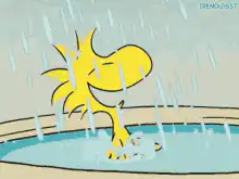 Woodstock dancing in the rain