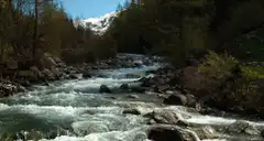 Mountain river flowing over rocks
